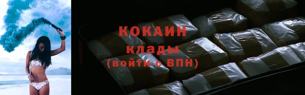 твердый Аркадак