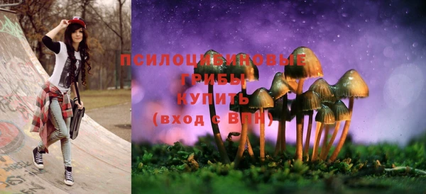 твердый Аркадак