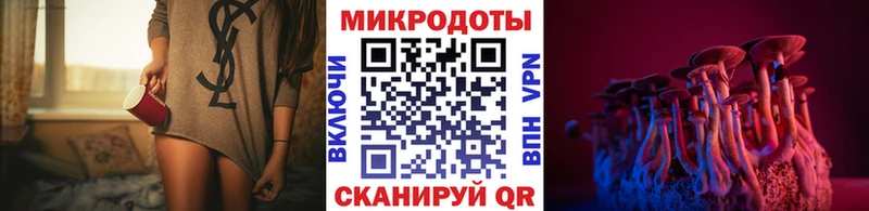Псилоцибиновые грибы Psilocybe  mega вход  Скопин  где можно купить наркотик 